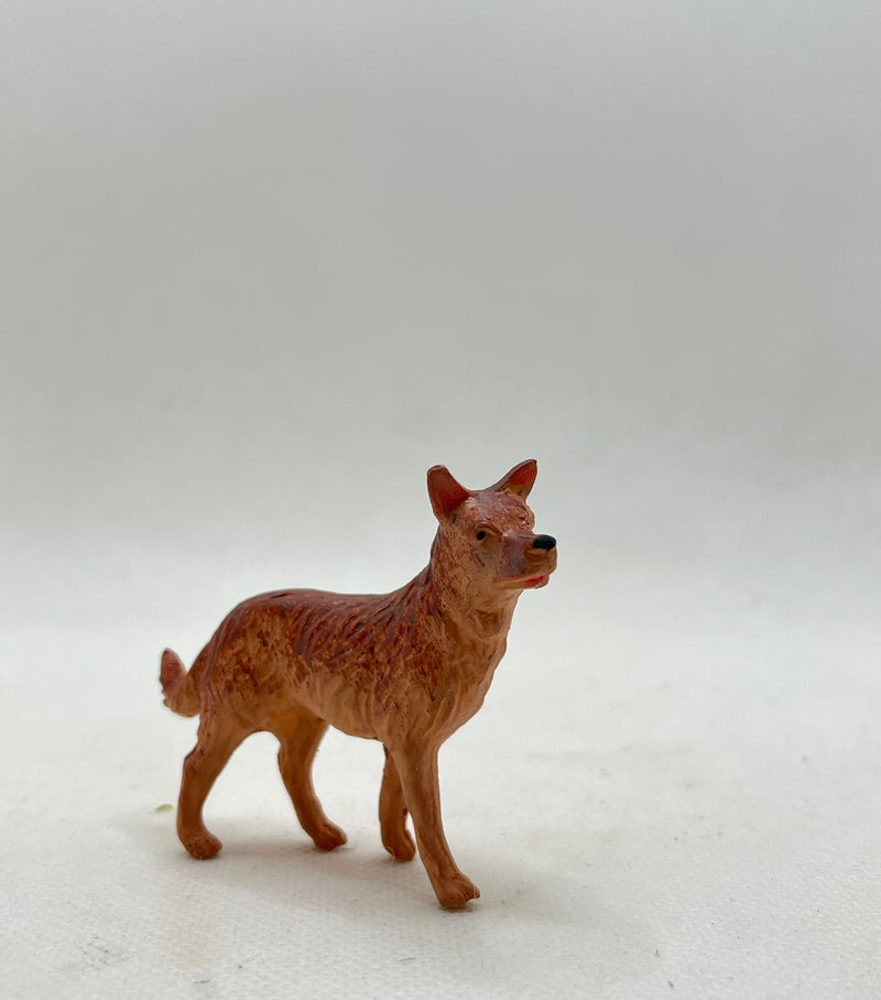 Animali